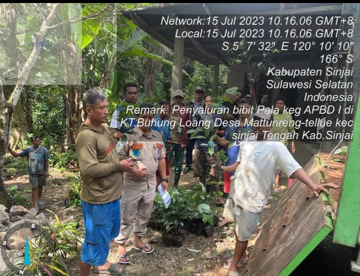 Penyaluran Bantuan bibit pala oleh Dinas TPHBUN Prov. Sulawesi Selatan Di  Desa Mattunreng Tellue