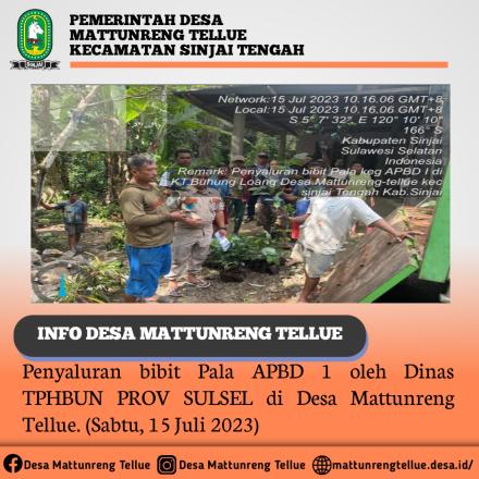 Penyaluran bibit Pala APBD 1